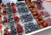 Owoce jagodowe na Fruit Logistica 2025