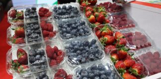 Owoce jagodowe na Fruit Logistica 2025