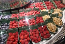 Jagodowa Fruit Logistica. Innowacje, odmiany i nowe maszyny