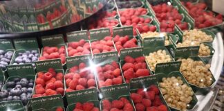 Jagodowa Fruit Logistica. Innowacje, odmiany i nowe maszyny