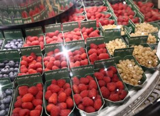 Jagodowa Fruit Logistica. Innowacje, odmiany i nowe maszyny