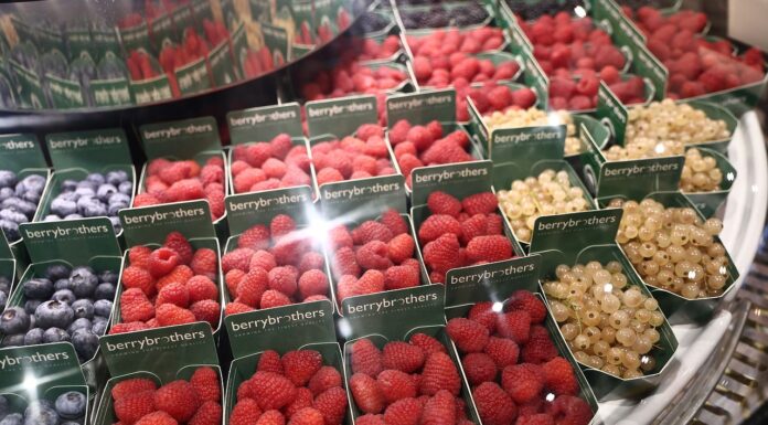 Jagodowa Fruit Logistica. Innowacje, odmiany i nowe maszyny