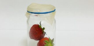 Biodegradowalne opakowania – rewolucja w przechowywaniu truskawek i malin?