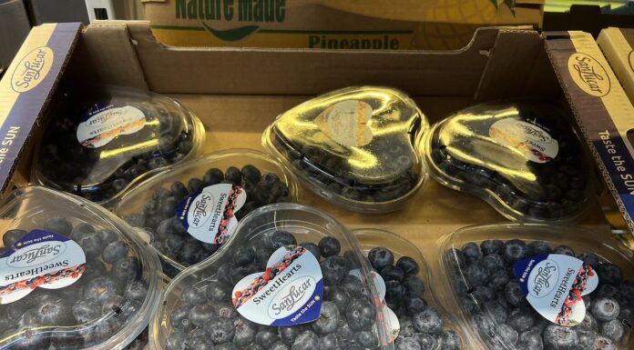 Jagodowe Walentynki (cz. II) – ceny borówek w supermarketach