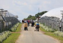 Zmienią się warunki zatrudniania cudzoziemców. To może oznaczać dramatyczną sytuacje dla wielu gospodarstw