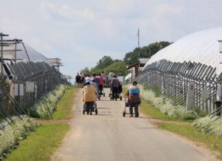 Zmienią się warunki zatrudniania cudzoziemców. To może oznaczać dramatyczną sytuacje dla wielu gospodarstw