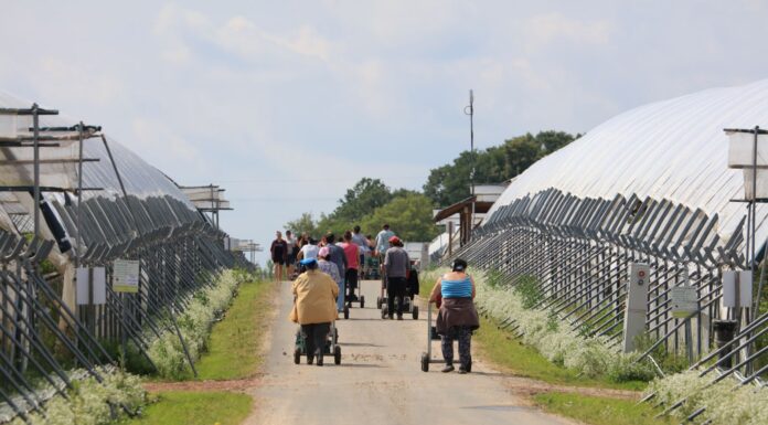 Zmienią się warunki zatrudniania cudzoziemców. To może oznaczać dramatyczną sytuacje dla wielu gospodarstw