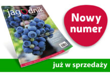 Jagodnik 2/2025 już w sprzedaży!