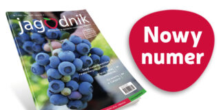 Jagodnik 2/2025 już w sprzedaży!