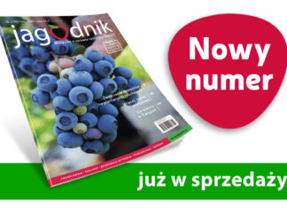Jagodnik 2/2025 już w sprzedaży!