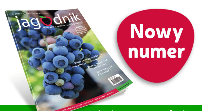 Jagodnik 2/2025 już w sprzedaży!