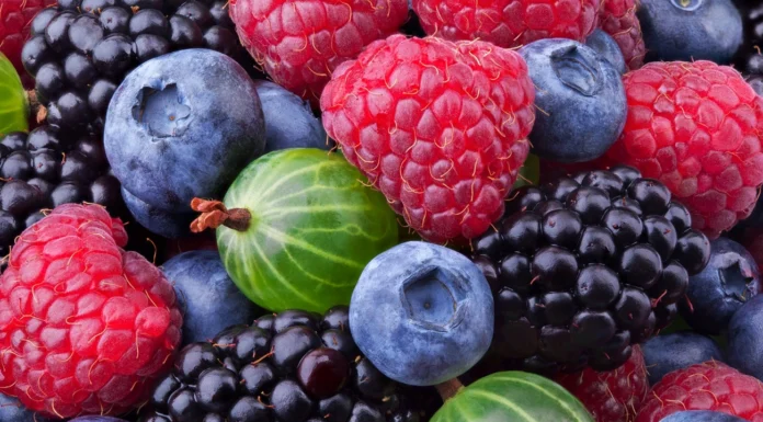 Holandia i Polska jednym z najważniejszych odbiorców ukraińskich świeżych i mrożonych owoców jagodowych owoce jagodowe