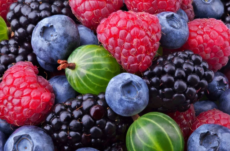 „Zrównoważone owoce z UE”: odpowiedź na potrzeby rynku hurtowego owoce jagodowe