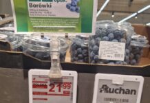 Niskie temperatury opóźniają szczyt zbiorów marokańskich borówek