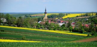 Konflikt: rolnicy kontra miastowi – zmiana krajobrazu wsi