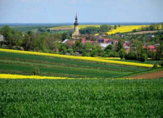Konflikt: rolnicy kontra miastowi – zmiana krajobrazu wsi