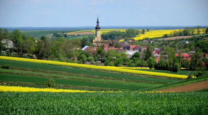 Konflikt: rolnicy kontra miastowi – zmiana krajobrazu wsi