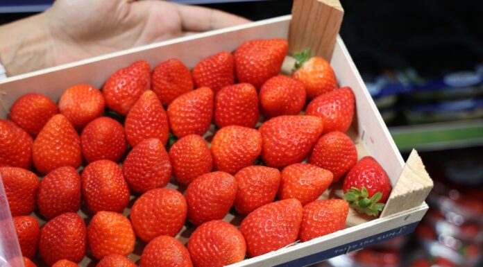 Rynek pragnie smacznych truskawek