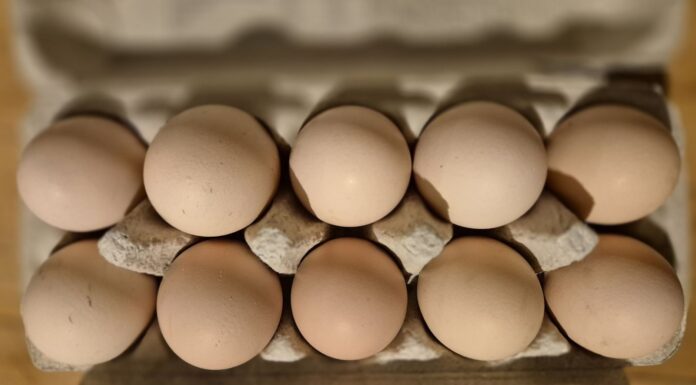 Czy zabraknie jaj na Święta? Minister zabrał głos.