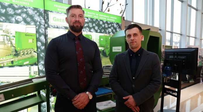 Sortowanie borówek. Rozwiązania dla małych i średnich gospodarstw Sortowanie borówek