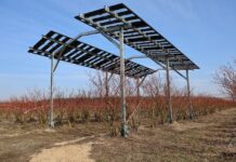 Agrowoltaika na plantacjach jagodowych