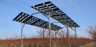 Agrowoltaika na plantacjach jagodowych