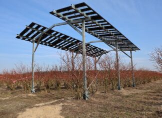 Agrowoltaika na plantacjach jagodowych