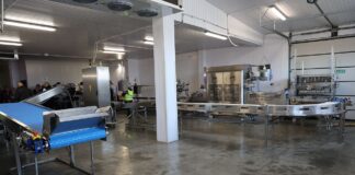 Precyzyjne sortowanie i naważanie borówek daje wiele korzyści