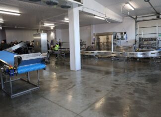 Precyzyjne sortowanie i naważanie borówek daje wiele korzyści