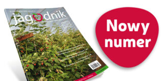 Nowości dla jagodowych. Jagodnik 3/2025 już w sprzedaży!