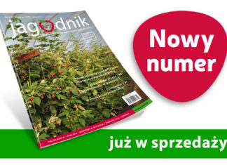Nowości dla jagodowych. Jagodnik 3/2025 już w sprzedaży!