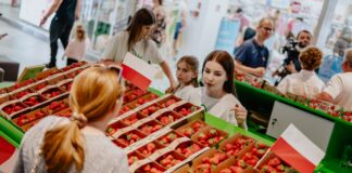 Zapraszamy na Branding Ovation 2025 – II edycje przeglądu marek w branży jagodowej już 31 marca w Warszawie