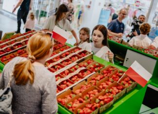 Zapraszamy na Branding Ovation 2025 – II edycje przeglądu marek w branży jagodowej już 31 marca w Warszawie