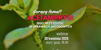 Gorący temat – acetamipryd i jego przyszłość w uprawach jagodowych. Zapraszamy na webinar!