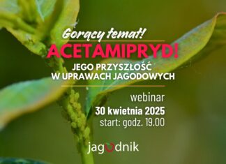 Gorący temat – acetamipryd i jego przyszłość w uprawach jagodowych. Zapraszamy na webinar!