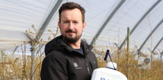 Wiosenne wyzwania na plantacjach borówki w okresie kwitnienia – nawożenie i wsparcie wegetacji nawożenie borówki