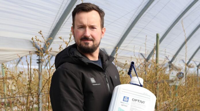 Wiosenne wyzwania na plantacjach borówki w okresie kwitnienia – nawożenie i wsparcie wegetacji nawożenie borówki