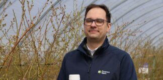 Odżywianie borówki wysokiej w okresie kwitnienia – bor i molibden robią różnicę Borówkowe Factory, Rovensa, wykorzystanie wody na plantacji borówek, bor i molibden