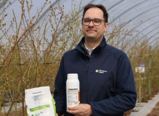 Odżywianie borówki wysokiej w okresie kwitnienia – bor i molibden robią różnicę Borówkowe Factory, Rovensa, wykorzystanie wody na plantacji borówek, bor i molibden