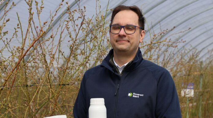 Odżywianie borówki wysokiej w okresie kwitnienia – bor i molibden robią różnicę Borówkowe Factory, Rovensa, wykorzystanie wody na plantacji borówek, bor i molibden