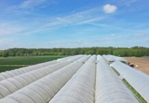 Rolnik aktywny zawodowo – korekty w projekcie ustawy są potrzebne, lecz projekt to krok w dobrym kierunku