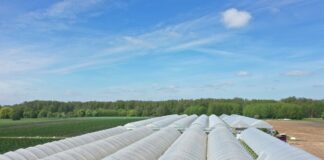 Rolnik aktywny zawodowo – korekty w projekcie ustawy są potrzebne, lecz projekt to krok w dobrym kierunku