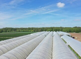 Rolnik aktywny zawodowo – korekty w projekcie ustawy są potrzebne, lecz projekt to krok w dobrym kierunku