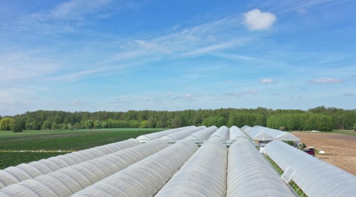 Rolnik aktywny zawodowo – korekty w projekcie ustawy są potrzebne, lecz projekt to krok w dobrym kierunku