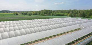 Zaproszenie na szkolenie pt. „Tunelowe Inspiracje” – innowacje w wprawie owoców jagodowych