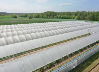 Zaproszenie na szkolenie pt. „Tunelowe Inspiracje” – innowacje w wprawie owoców jagodowych