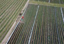 Sprzedaż środków ochrony roślin w sieci pod kontrolą – nowe przepisy dotyczące przez internet środków ochrony roślin