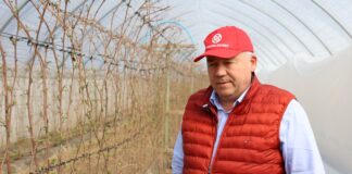 Naturalnie wspomagają odporność roślin Krzysztof Gruszczyk malina Natura Expert