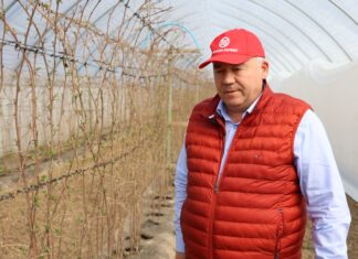 Naturalnie wspomagają odporność roślin Krzysztof Gruszczyk malina Natura Expert