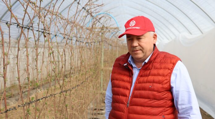 Naturalnie wspomagają odporność roślin Krzysztof Gruszczyk malina Natura Expert